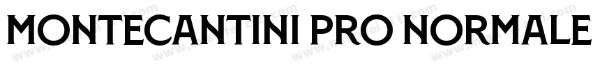 Montecantini Pro Normale Bold字体转换
